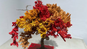 RE BONSAI™️（紅樺色/黄檗色）