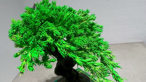 RE BONSAI™️（NEON GREEN）