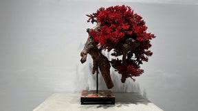 RE BONSAI™️（紅樺色）