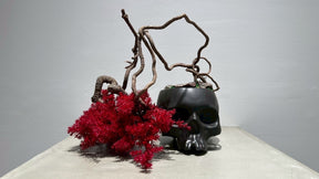 SKULL RE BONSAI™️(紅樺色）