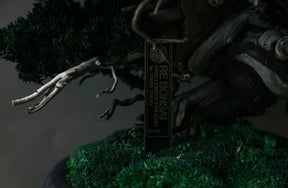 RE BONSAI™️ HACHI（海松茶色）