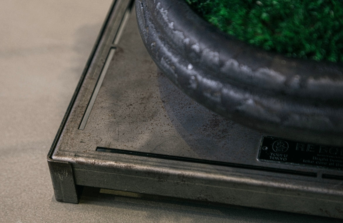 RE BONSAI™️ HACHI（海松茶色）