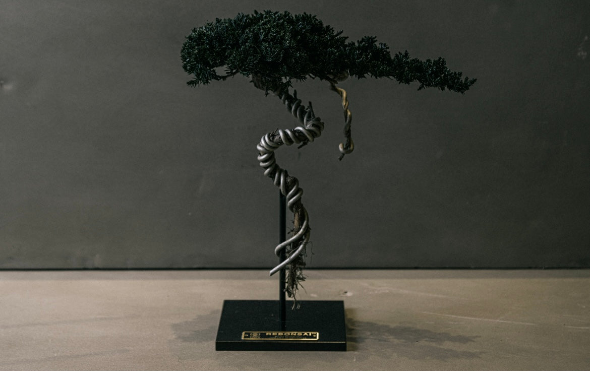 RE BONSAI™️ STAND（海松茶色）