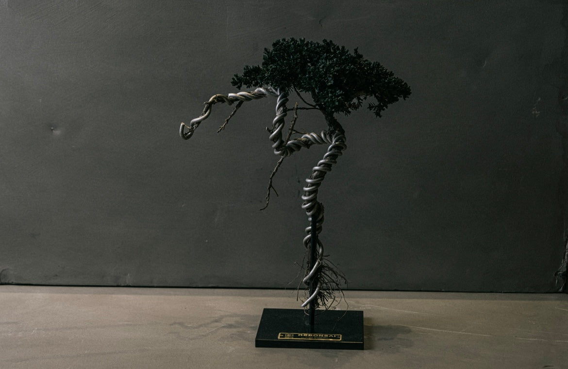 RE BONSAI™️ STAND（海松茶色）