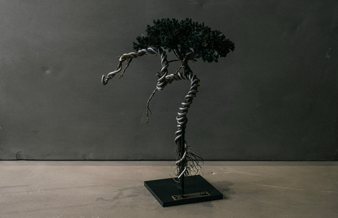 RE BONSAI™️ STAND（海松茶色）