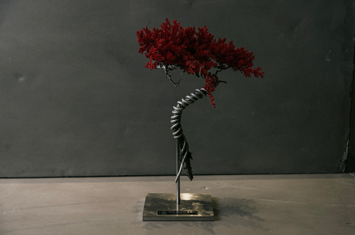RE BONSAI™️ STAND（紅樺色）