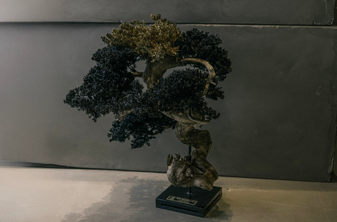 RE BONSAI™️ STAND（海松茶色/黄金色）