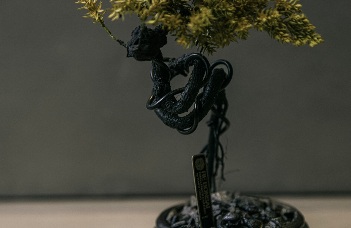 RE BONSAI™️ HACHI（黄檗色）