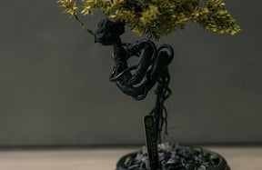 RE BONSAI™️ HACHI（黄檗色）