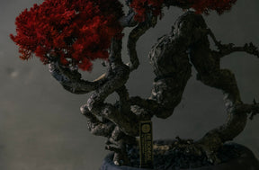 RE BONSAI™️ HACHI（紅樺色）