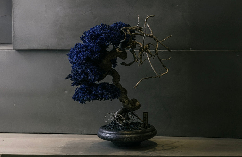 re盆栽　青　盆栽　TOUFU東京 RE BONSAI™️ HACHI（紺藍色）