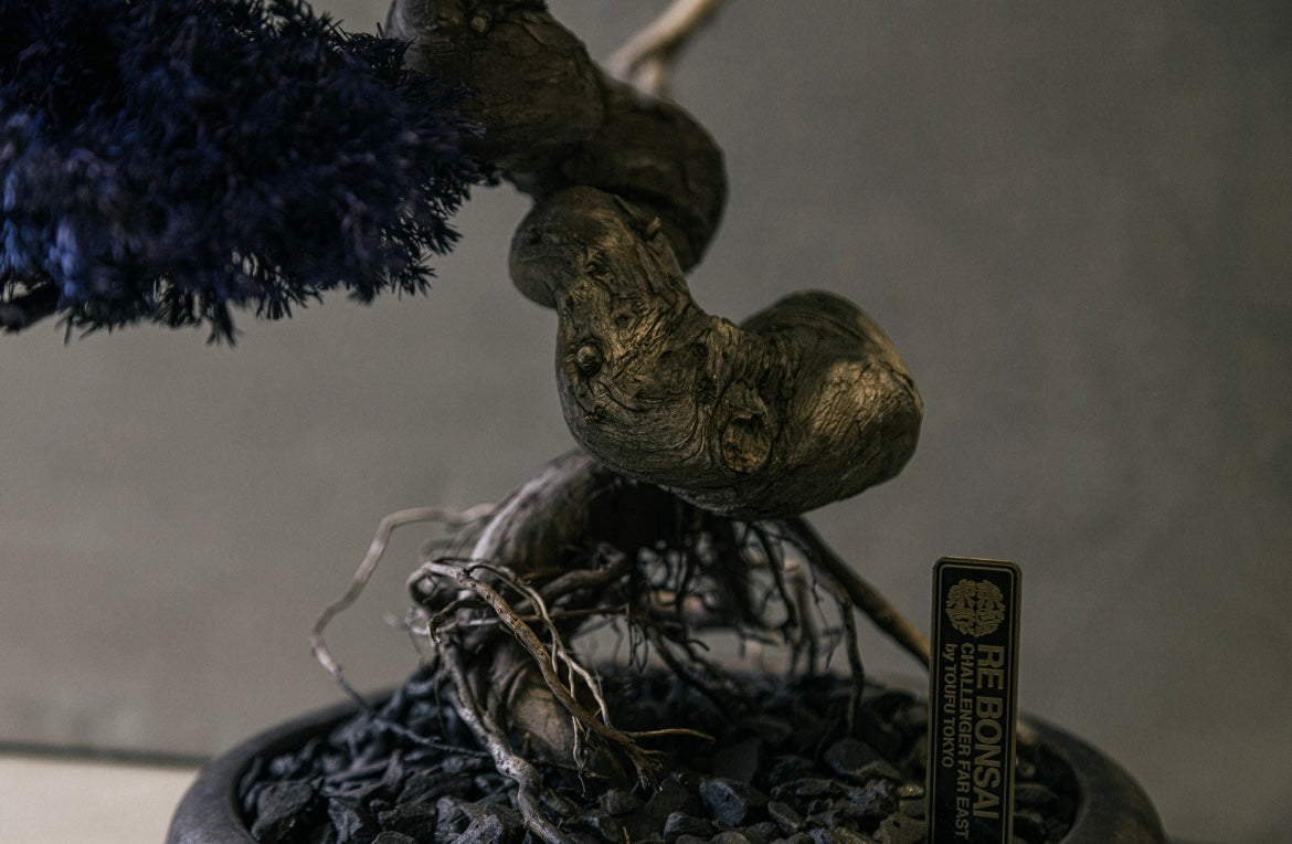 RE BONSAI™️ HACHI（紺藍色）