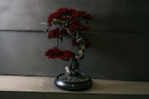RE BONSAI™️ HACHI（紅樺色）