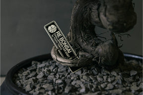 RE BONSAI™️ HACHI（紅樺色）