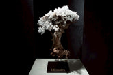7/17 new RE BONSAI™️ STAND（白百合色）