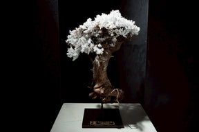 7/17 new RE BONSAI™️ STAND（白百合色）