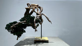 RE BONSAI™️（海松茶色）