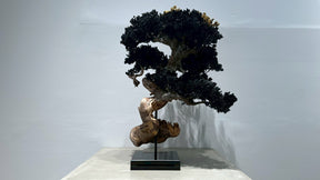 RE BONSAI™️（漆黒色/黄檗色）