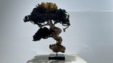 RE BONSAI™️（漆黒色/黄檗色）