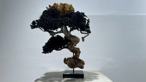 RE BONSAI™️（漆黒色/黄檗色）