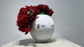 DARUMA RE BONSAI™️（紅樺色）