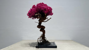 RE BONSAI™️（撫子色）