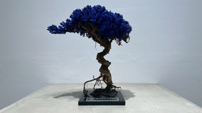 RE BONSAI™️（紺藍色）