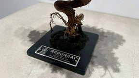 RE BONSAI™️（紅樺色）