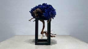 RE BONSAI™️ Frame(紺藍色）