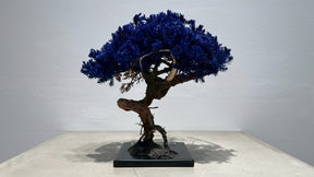 RE BONSAI™️（紺藍色）