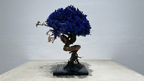 RE BONSAI™️（紺藍色）