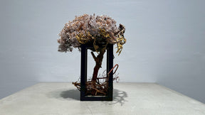 RE BONSAI™️ Frame(白百合色)